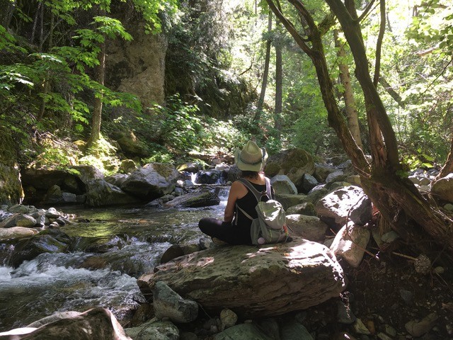 A person sitting beside a stream in a sunlit forest