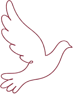 Line drawing of a dove