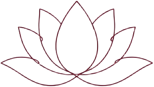 Line drawing of a lotus flower