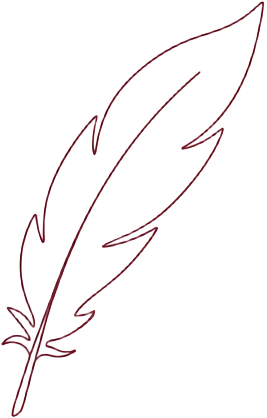 Line drawing of a feather